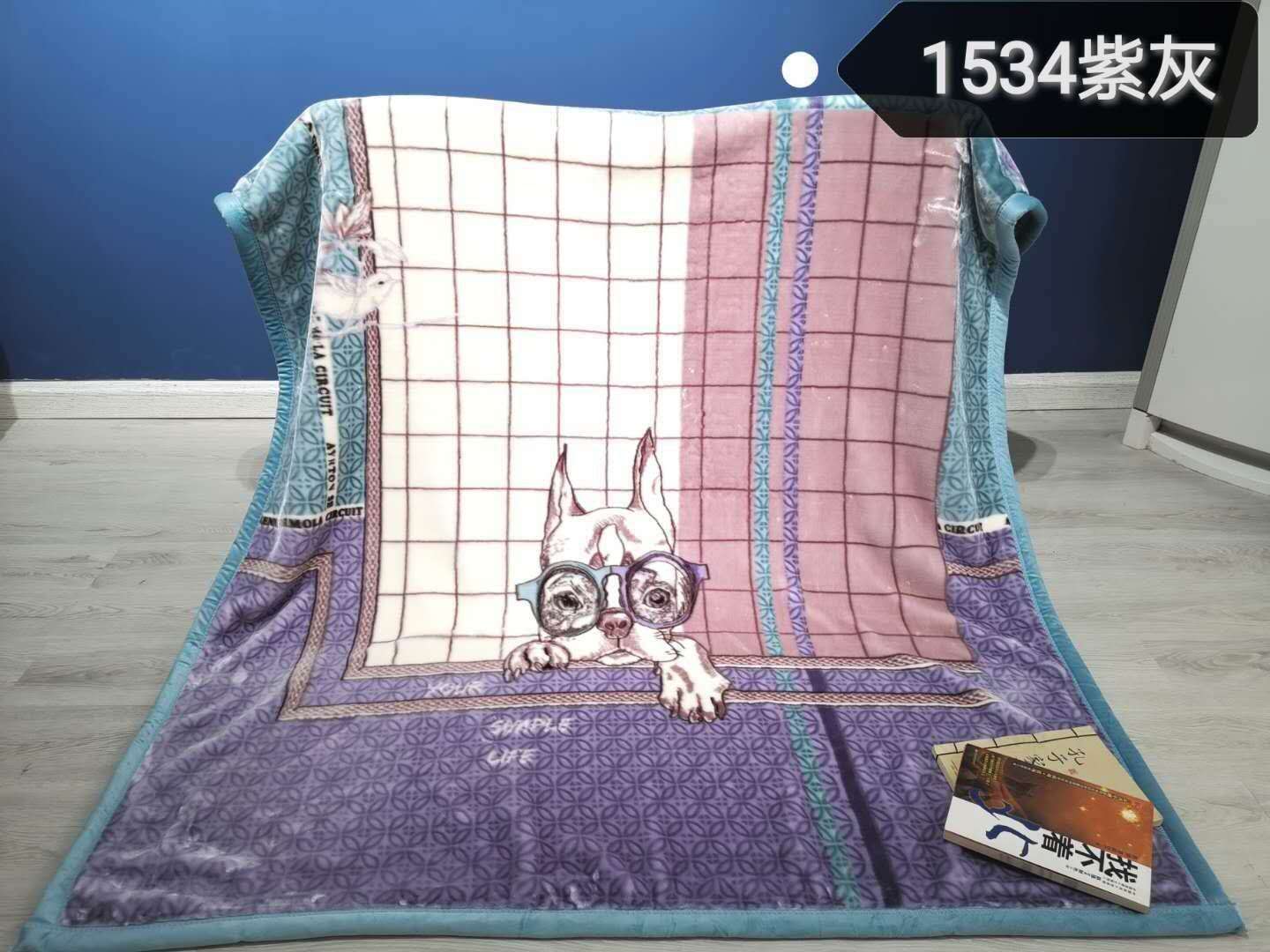 Manufacturer direct selling children blanket super soft skin nap blanket blanket blanket wholesale foreign trade a substitute hair purple gray thumbnail