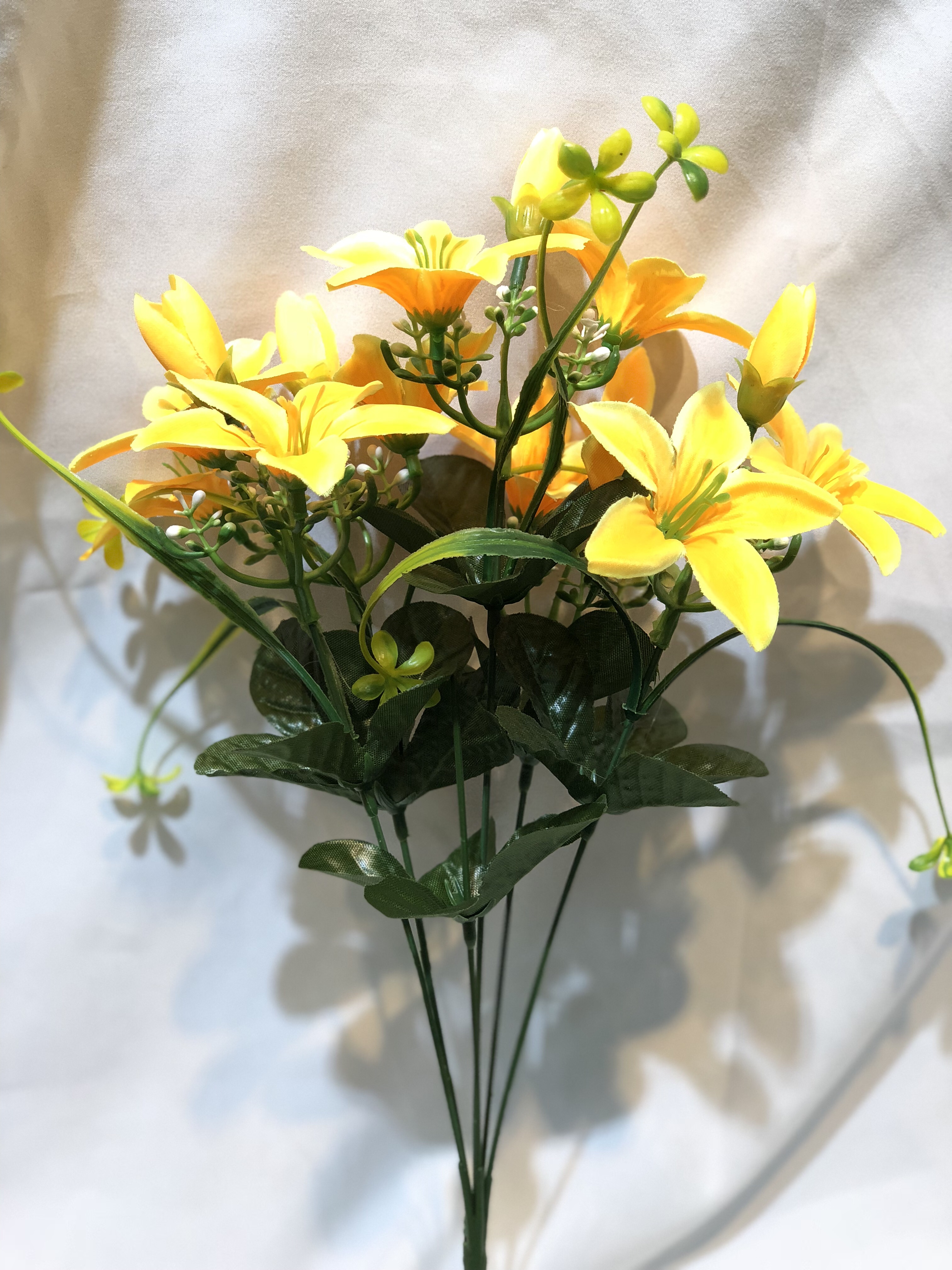 百合花白底实物图