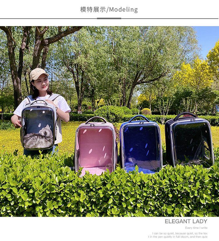 宠物猫咪用品厂家直销 可折叠猫包太空舱 便捷式透明猫咪双肩背包详情图8