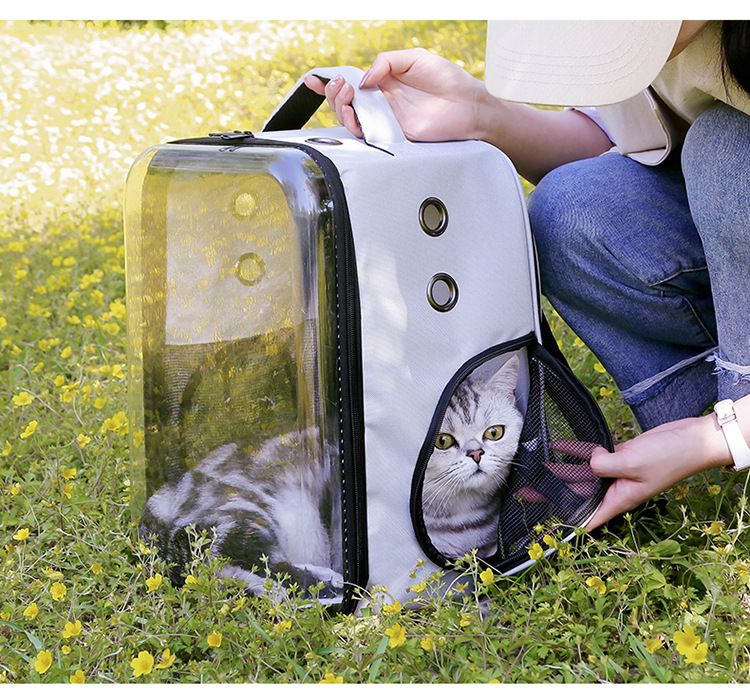 宠物猫咪用品厂家直销 可折叠猫包太空舱 便捷式透明猫咪双肩背包详情图16