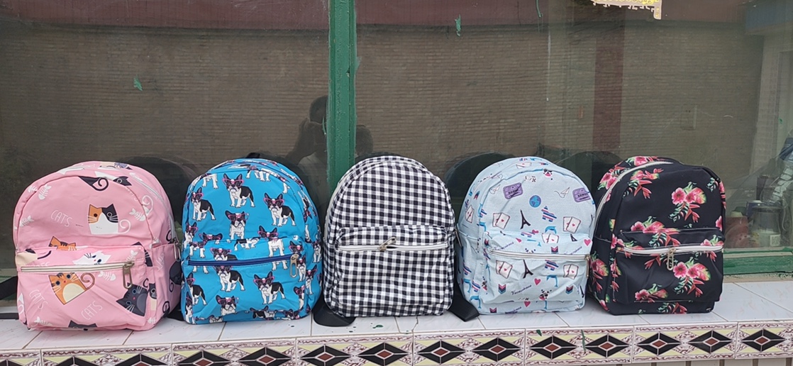 新款现货小花双背书包幼儿园女士休闲混花色不挑