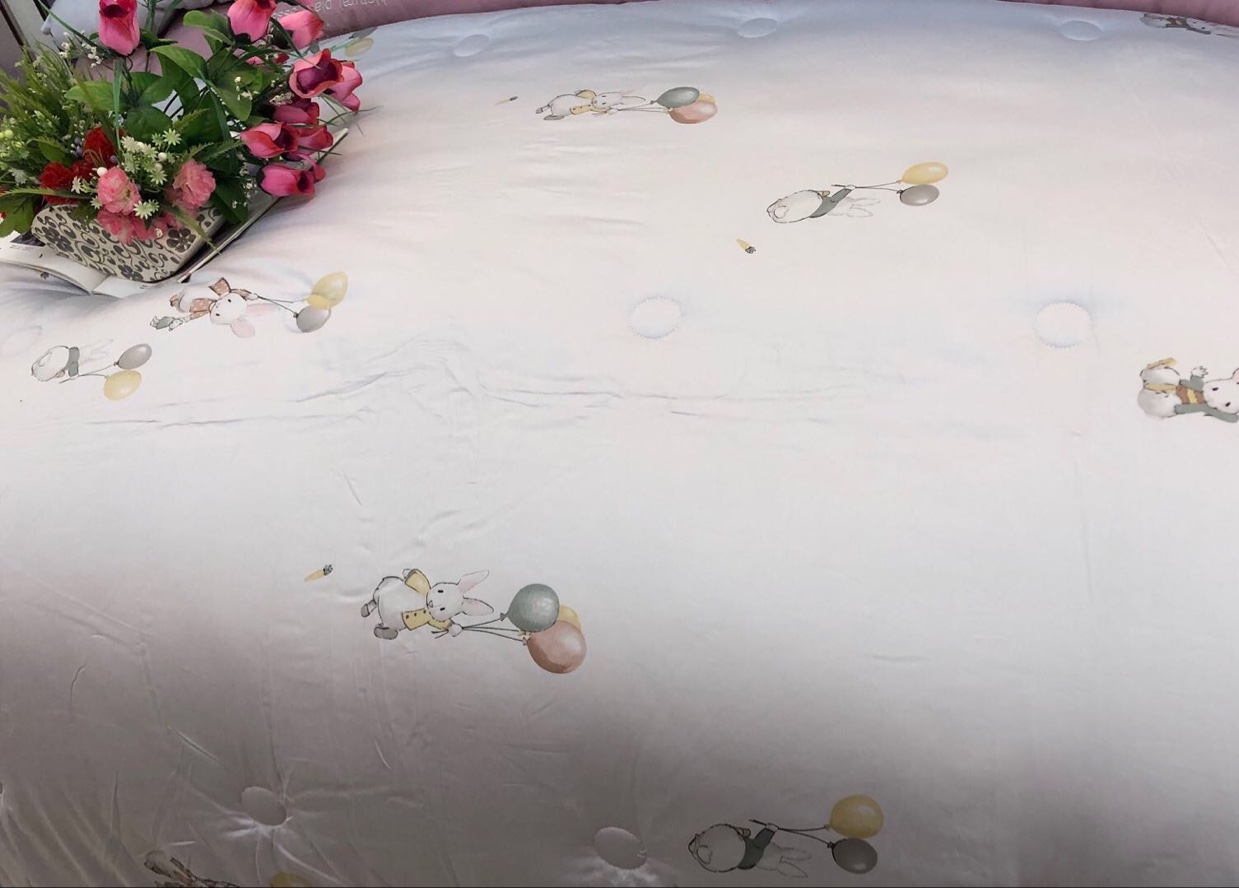 High Density Cotton Silkworm Pupa Spring And Autumn Quilt