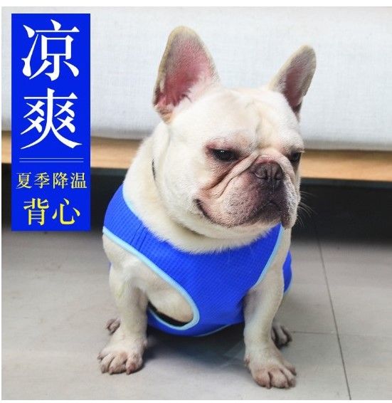 Manufacturers direct pet cooling clothes pet cooling clothes summer boom