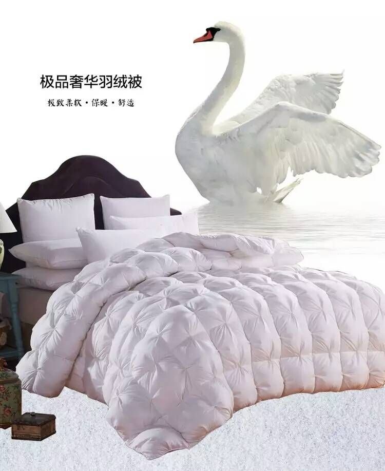 羽绒被实物图