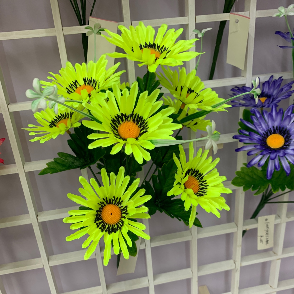 9 head patch chrysanthemums thumbnail