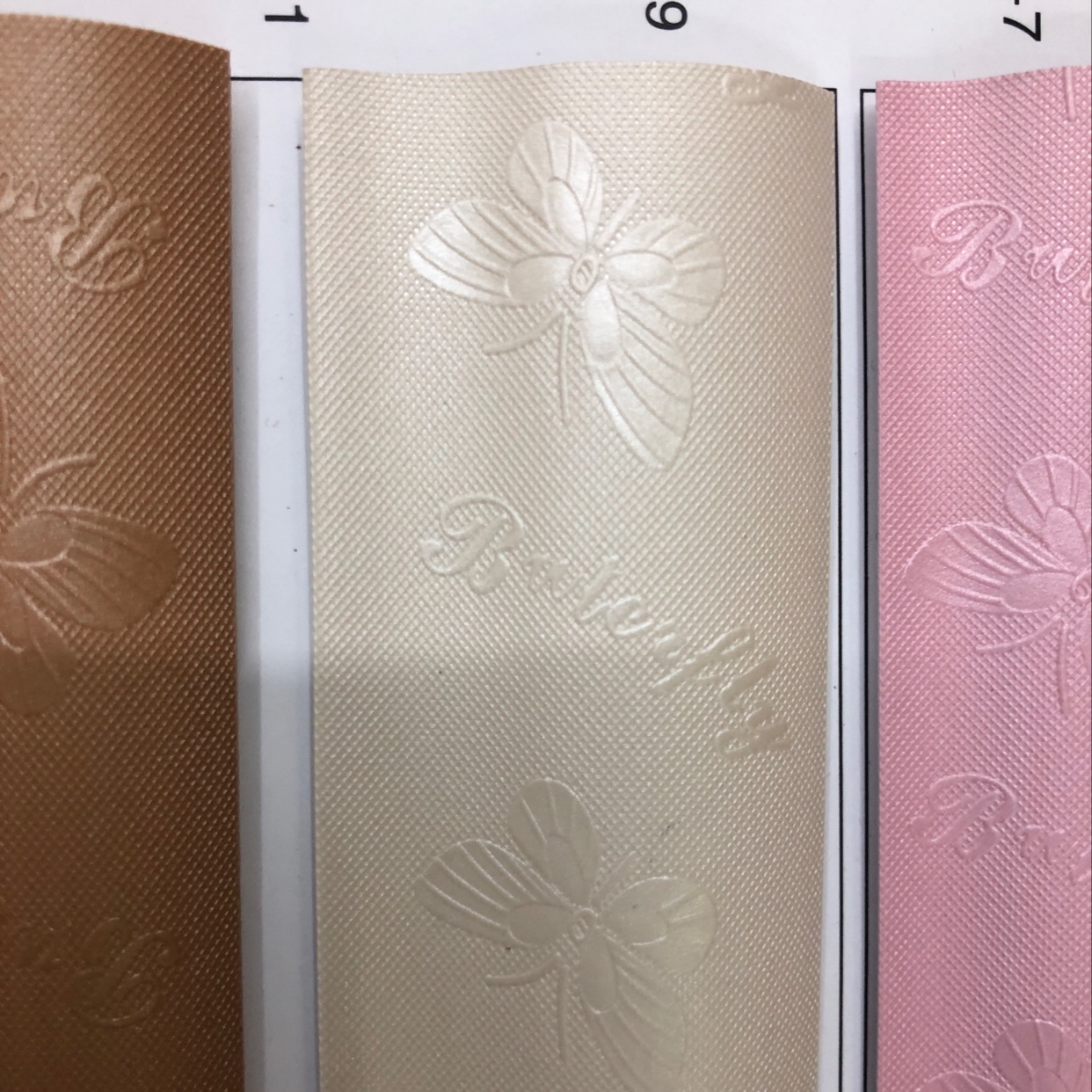 35mm精品蝴蝶45-1