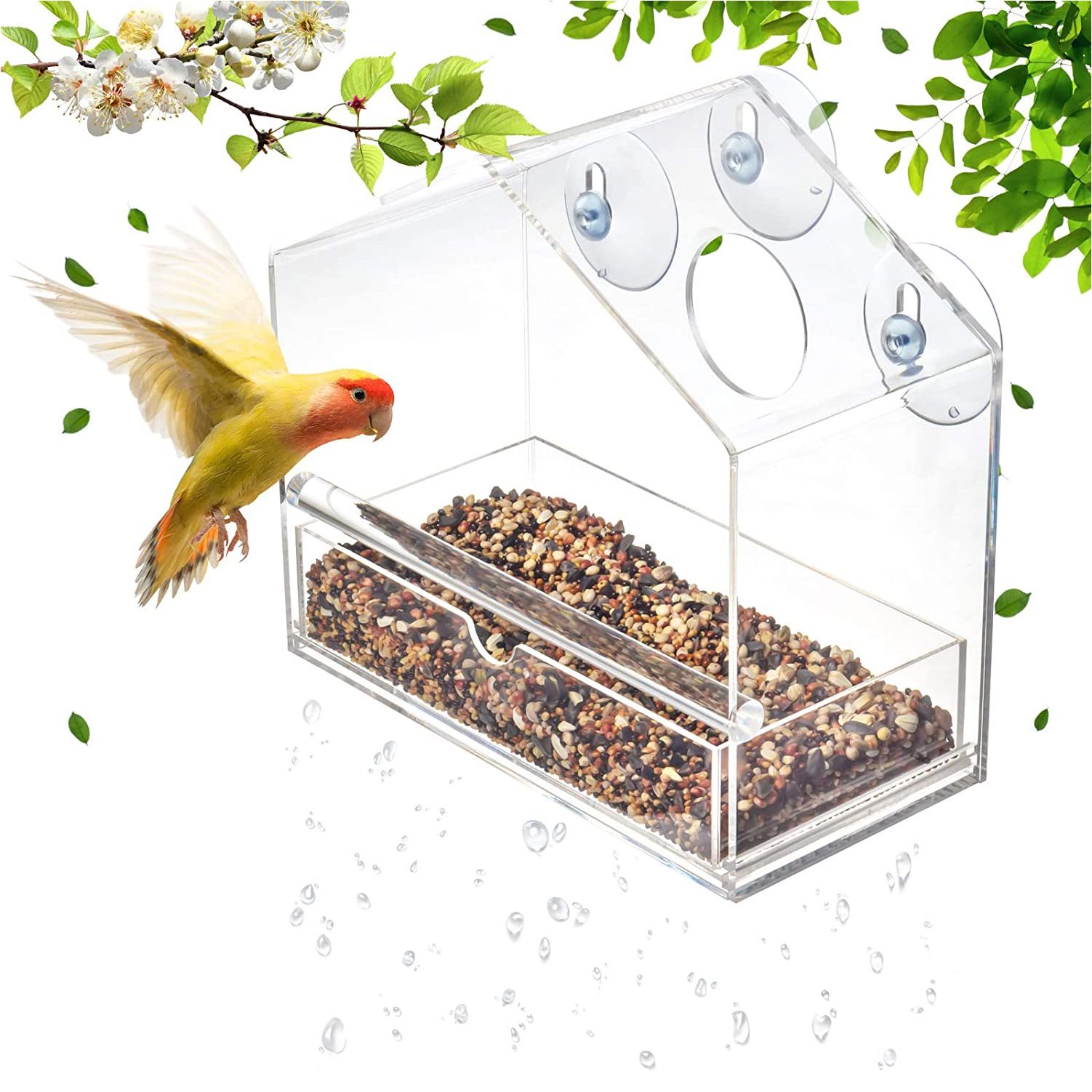 Cross-Border Explosive Bird Feeder Acrylic Transparent Outdoor Window Bird Feeder Custom Wholesale Sucker Bird Cage full figure