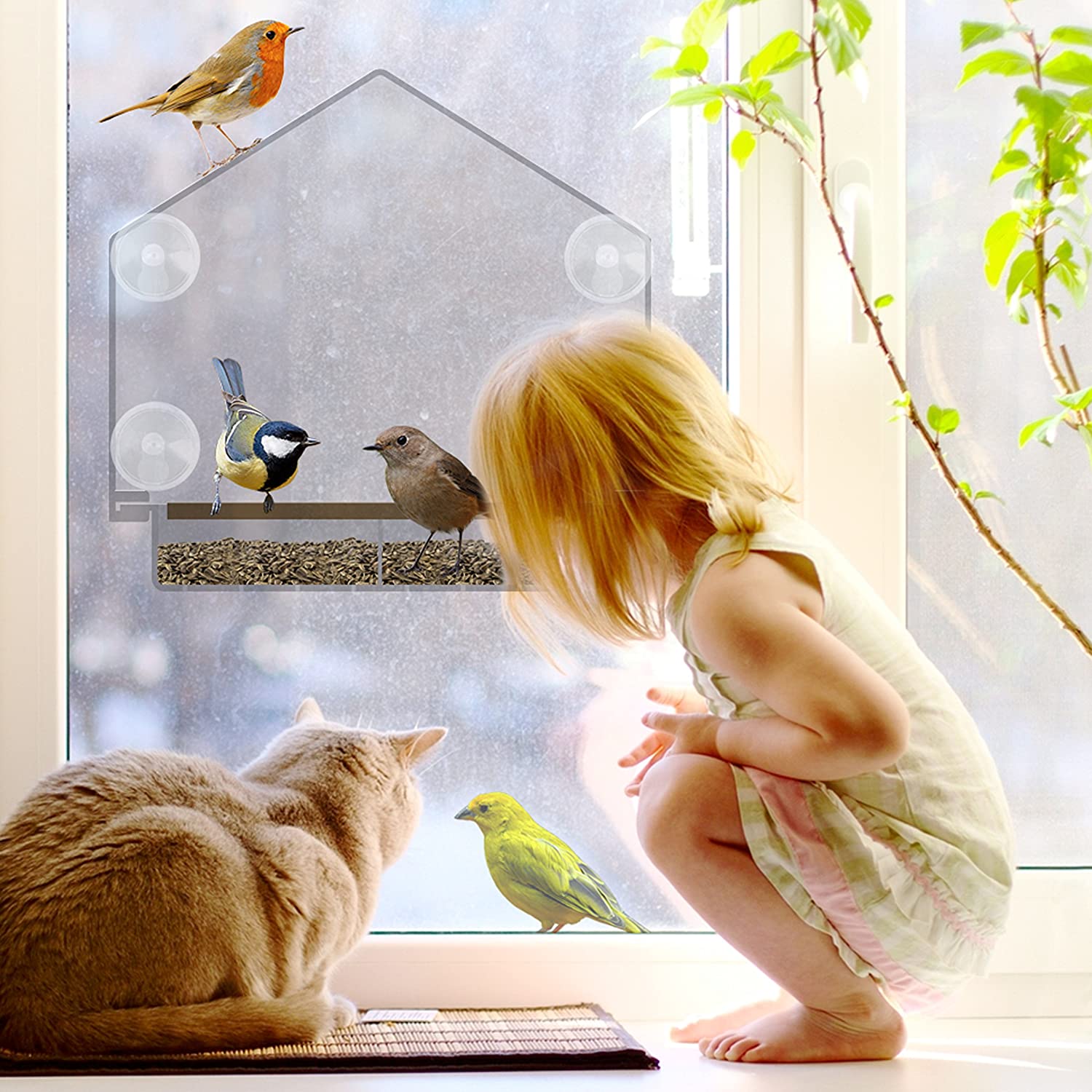 Cross-Border Explosive Bird Feeder Acrylic Transparent Outdoor Window Bird Feeder Custom Wholesale Sucker Bird Cage undefined