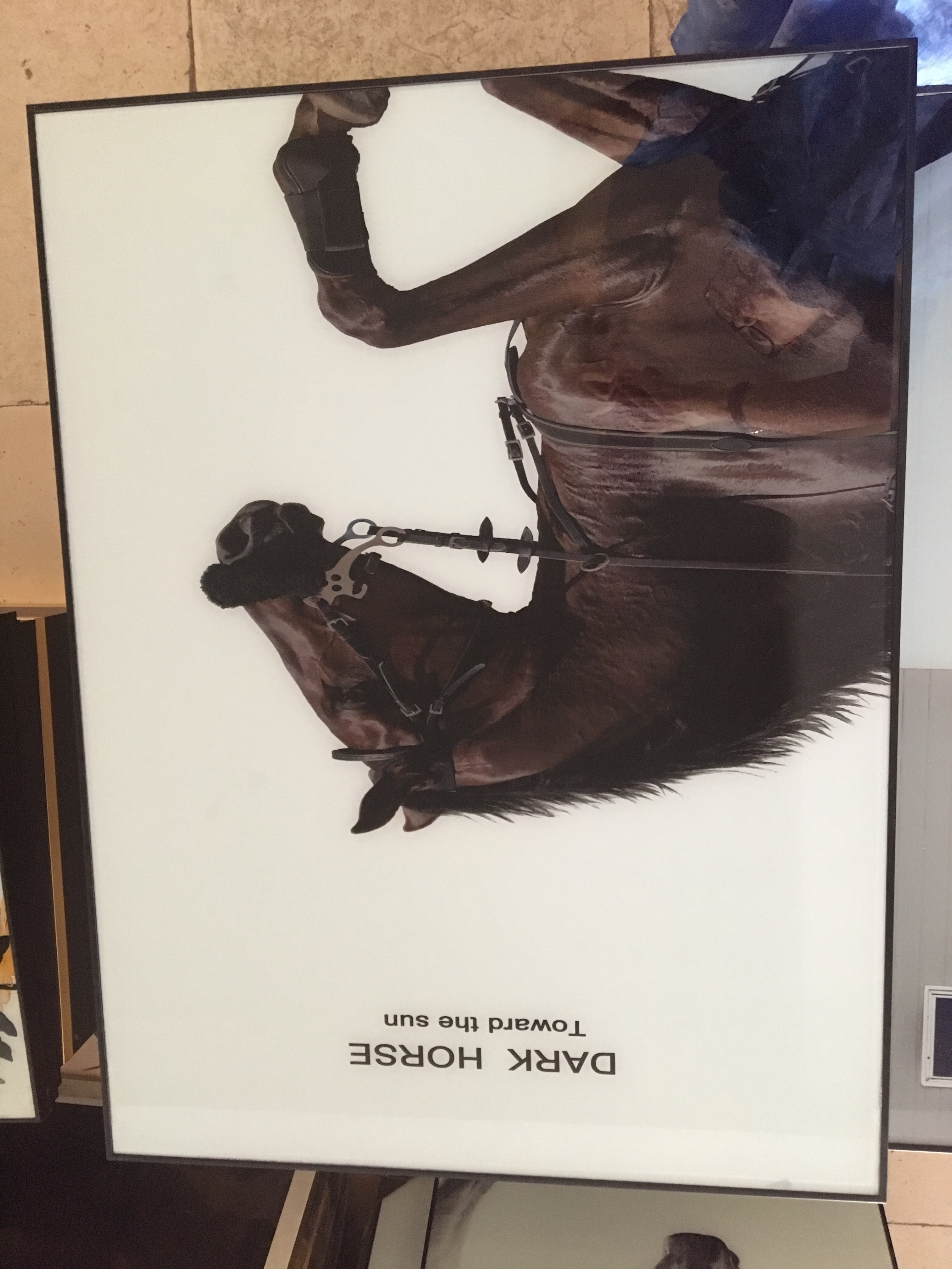 马时尚挂画酒店宾馆装饰画马到成功白底实物图