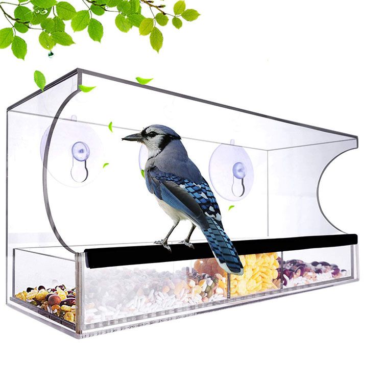 Cross-Border Explosive Bird Feeder Acrylic Transparent Outdoor Window Bird Feeder Custom Wholesale Sucker Bird Cage Item Picture