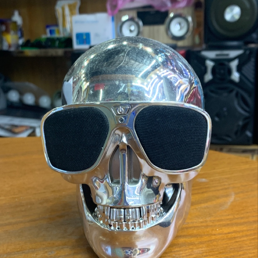 Skull speaker