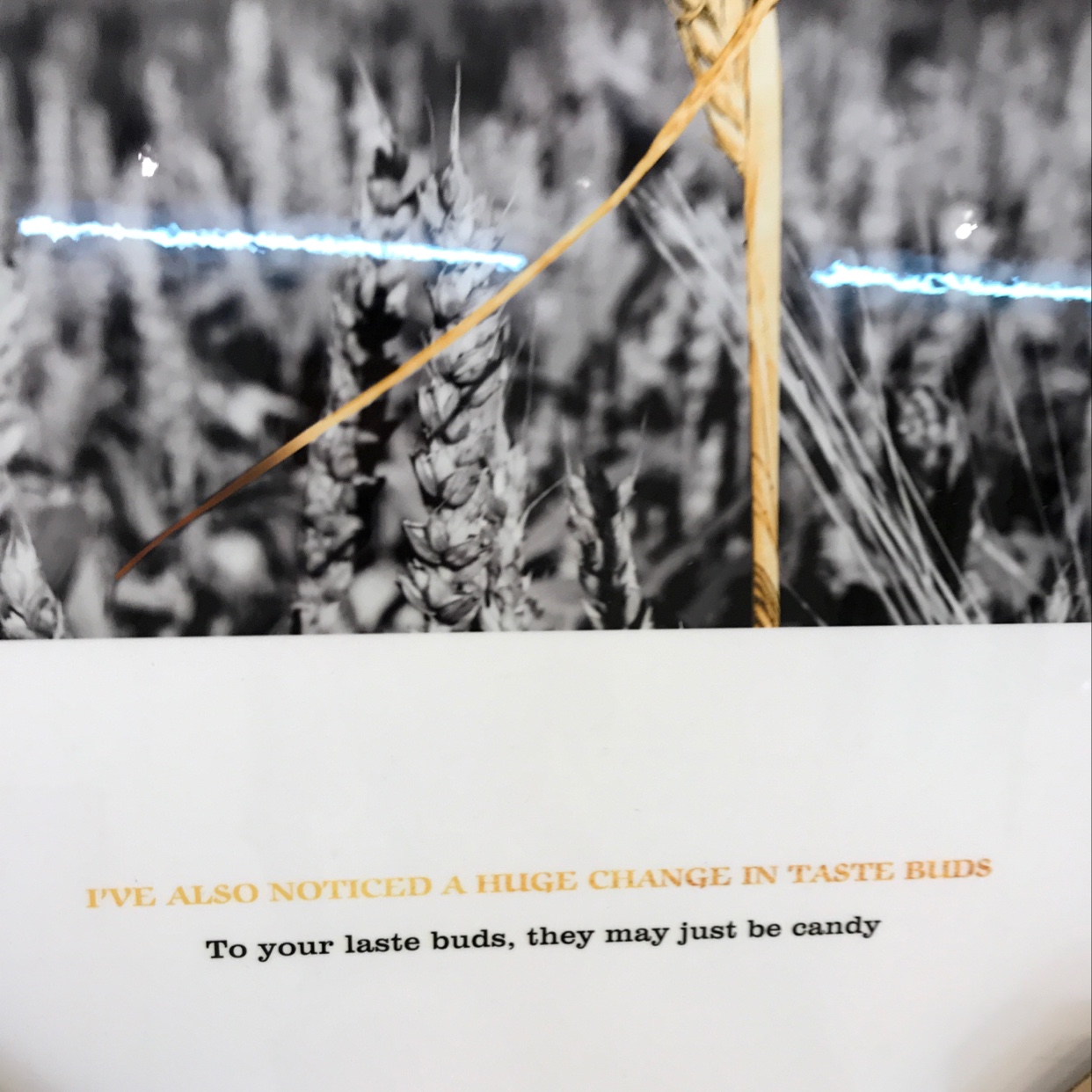 Crystal Porcelain Painting Restaurant Application Scenario