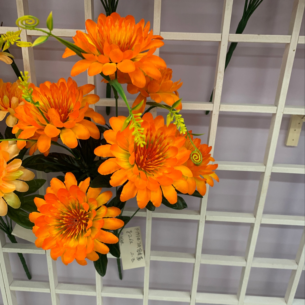 193 well 7 rich chrysanthemum thumbnail