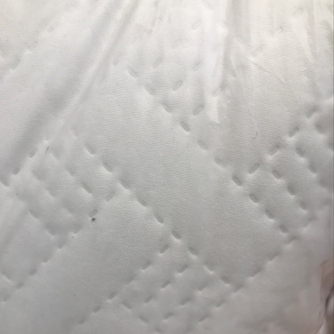 Goose down pillow