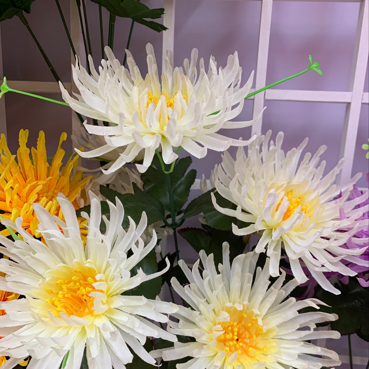 8089#7 heads of chrysanthemum thumbnail