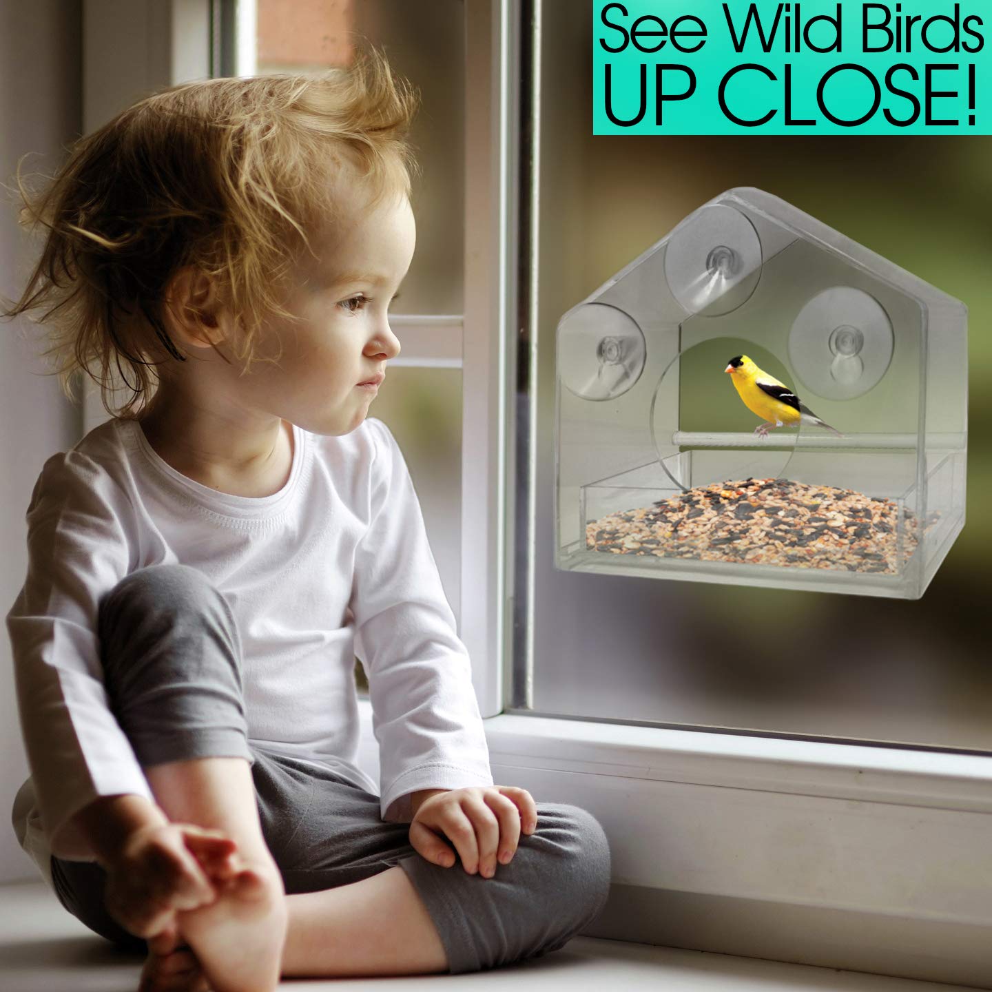 Cross-Border Explosive Bird Feeder Acrylic Transparent Outdoor Window Bird Feeder Custom Wholesale Sucker Bird Cage undefined
