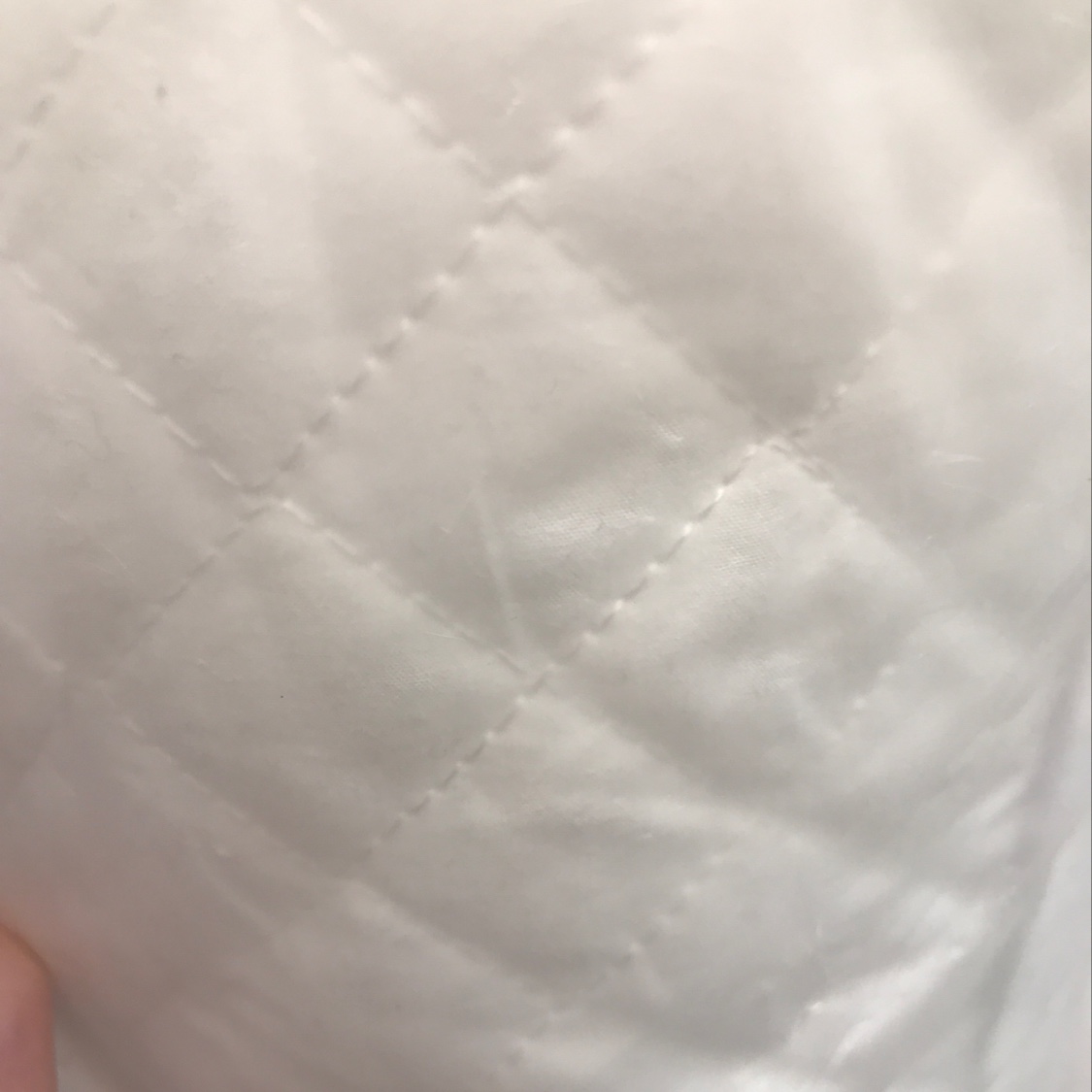 Pillow feather
