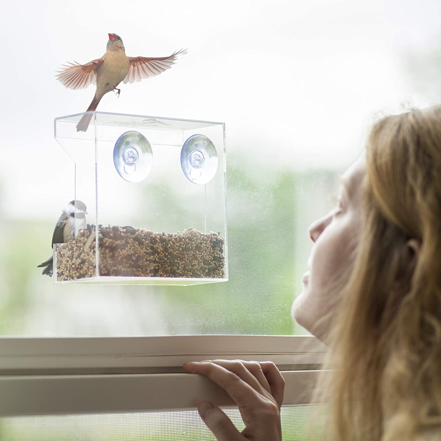 Cross-Border Explosive Bird Feeder Acrylic Transparent Outdoor Window Bird Feeder Custom Wholesale Sucker Bird Cage undefined