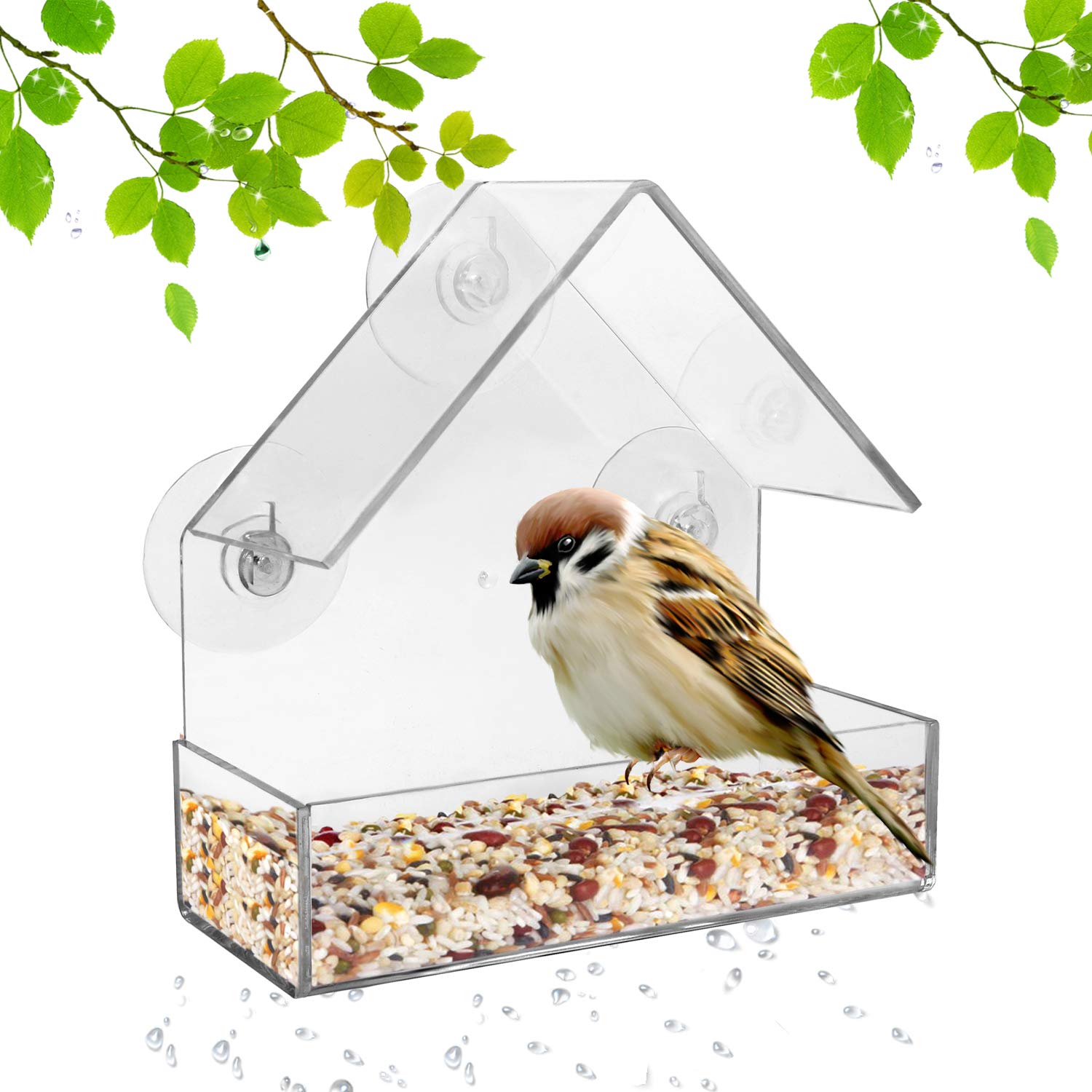 Cross-Border Explosive Bird Feeder Acrylic Transparent Outdoor Window Bird Feeder Custom Wholesale Sucker Bird Cage Application Scenario