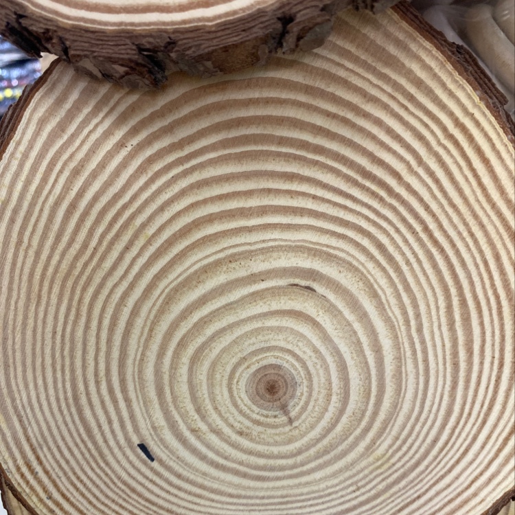 Wood veneer coasters picture thumbnail