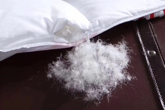 被子床上用品/Quilt/过来果然的细节图