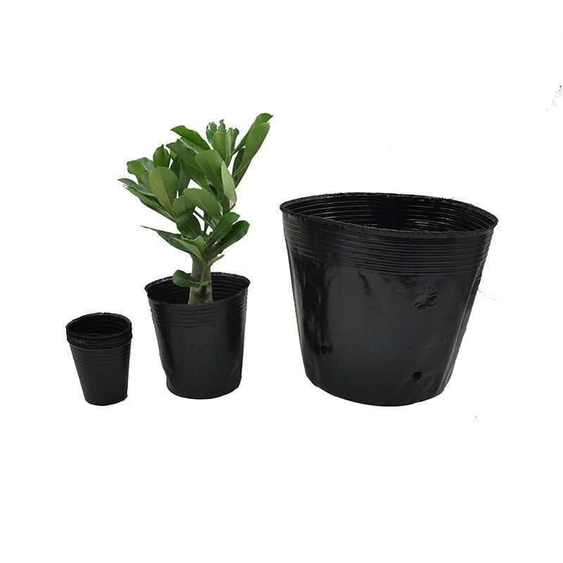 Seedling Pot Nutrition Pot Horticultural Base Special undefined