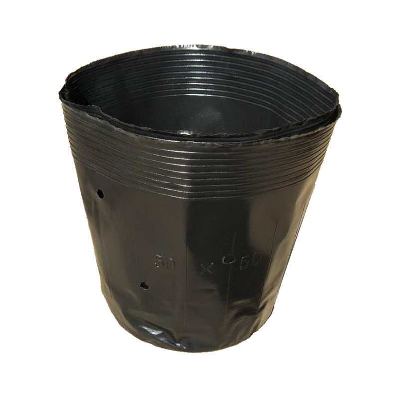 Seedling Pot Nutrition Pot Horticultural Base Special Item Picture