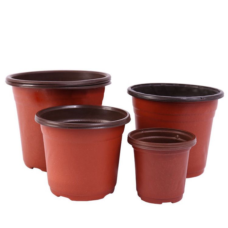 Seedling Pot Nutrition Pot Horticultural Base Special Specification drawing