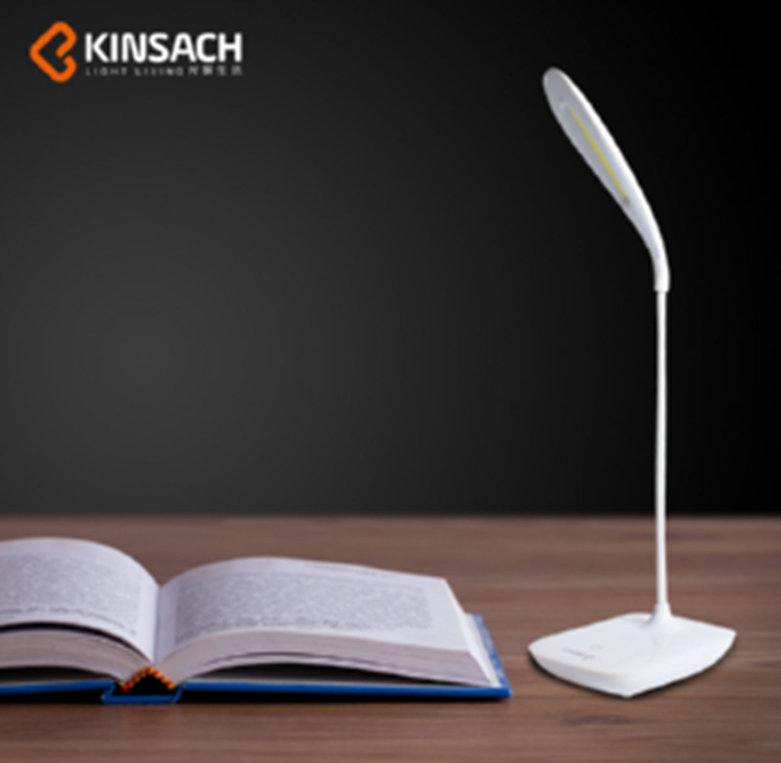 KINSACH 188A Eye lamp /G2-15267
