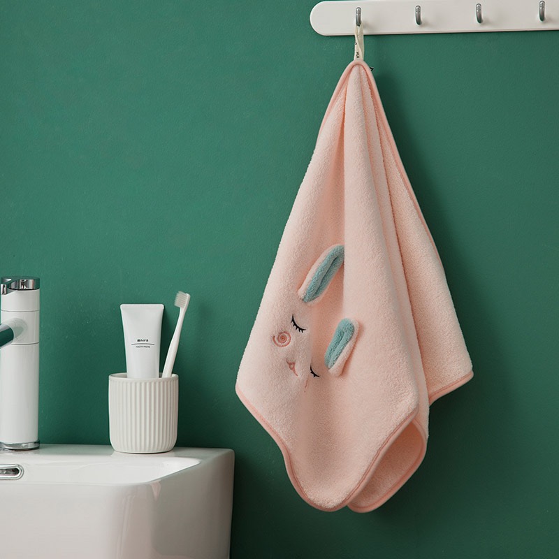 珊瑚绒毛巾，可爱少女吸水，速干不掉毛，柔软洗脸小情侣家用都适合！欢迎订购