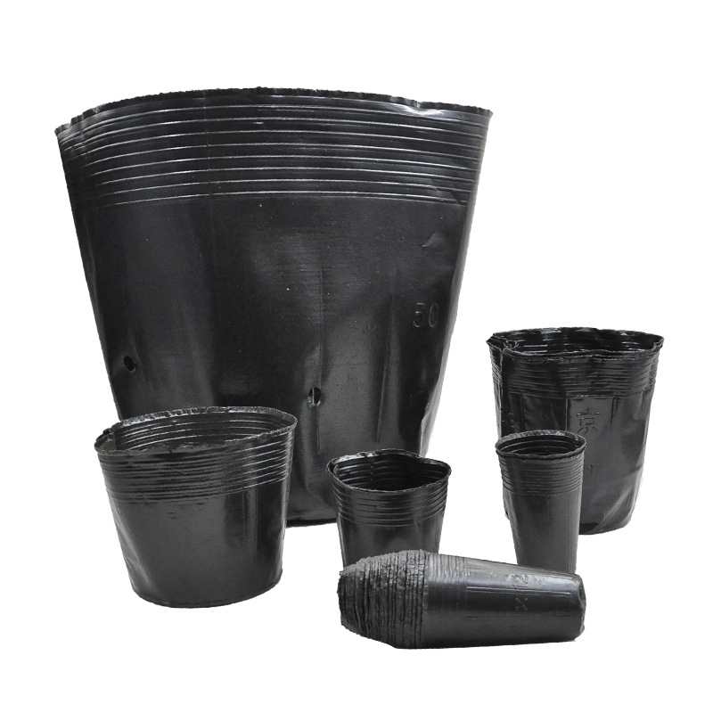 Seedling Pot Nutrition Pot Horticultural Base Special Application Scenario