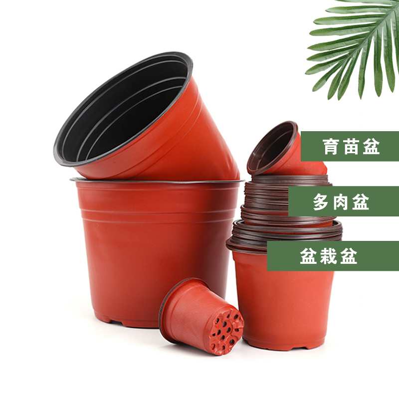 Seedling Pot Two-Color Pot Plastic Flowerpot Application Scenario