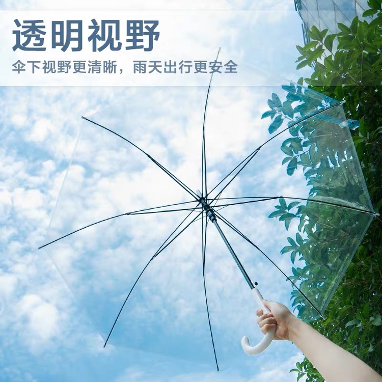 透明雨伞长柄网红小清新大号双人自动白色透明伞女16骨定制logo伞