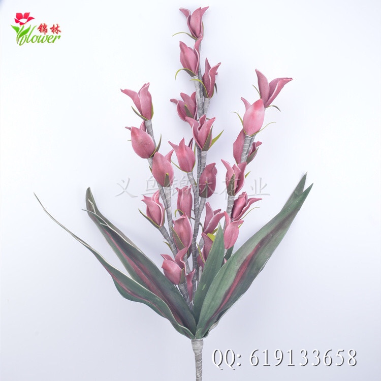 EVA Orchid