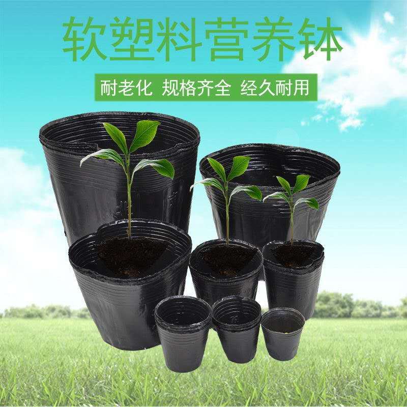 Seedling Pot Nutrition Pot Horticultural Base Special undefined