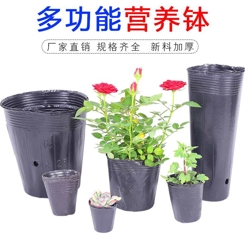 Seedling Pot Nutrition Pot Horticultural Base Special undefined