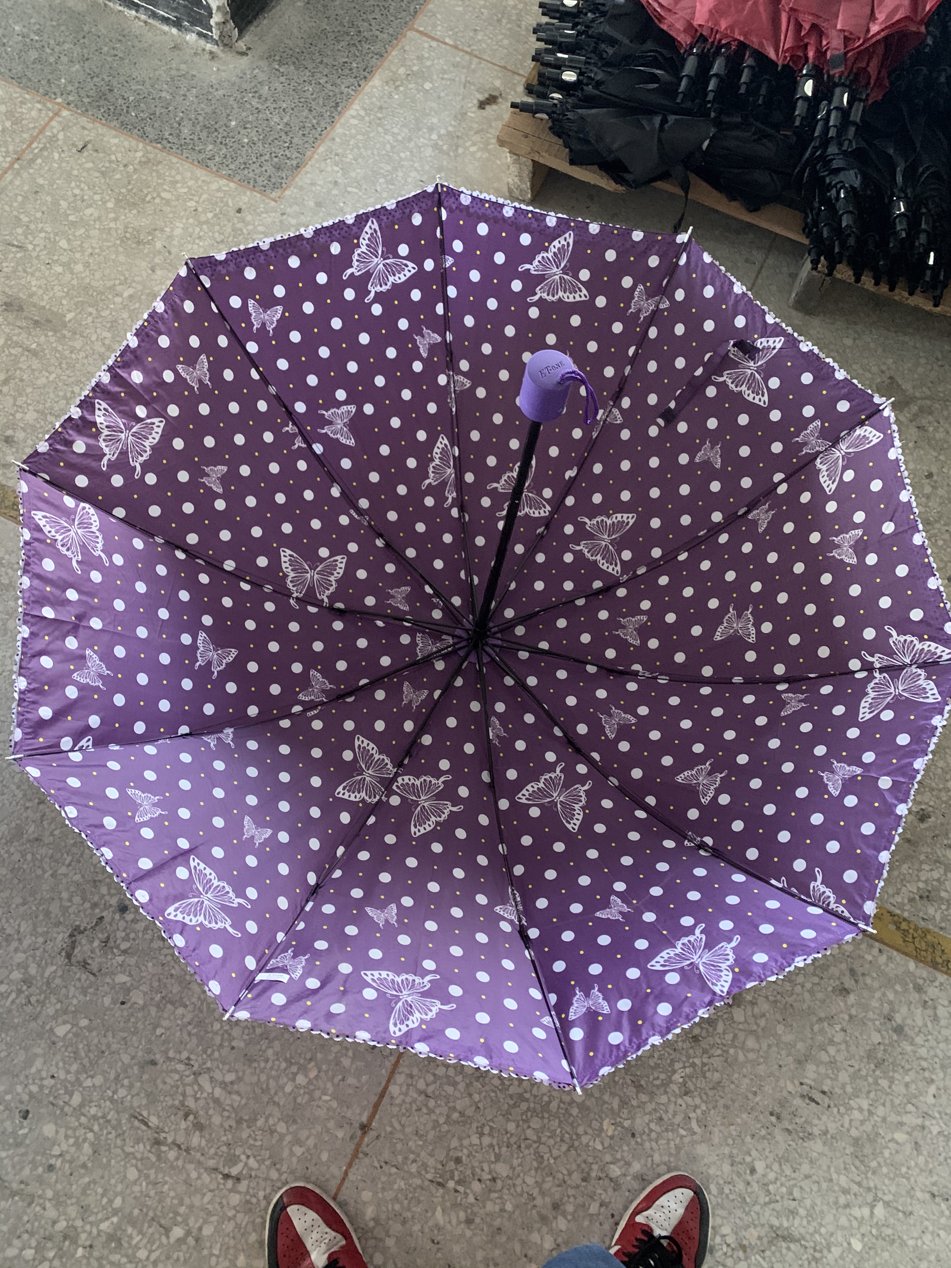 雨伞实物图