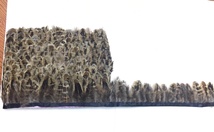黑花羽毛花边，自然色，尺寸：5cm，10米/包，4元一米