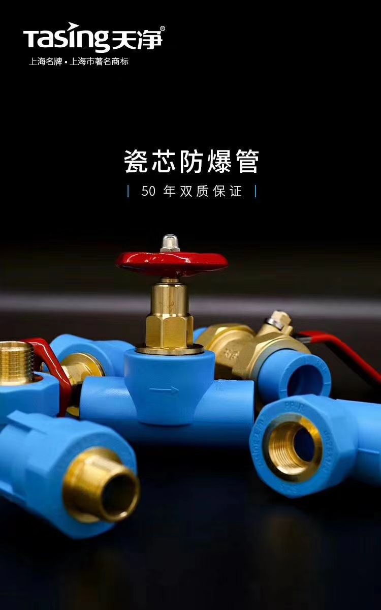 Tianjing Pipeline Porcelain Core explosion-proof Pipe Stop Valve 63 pic 1