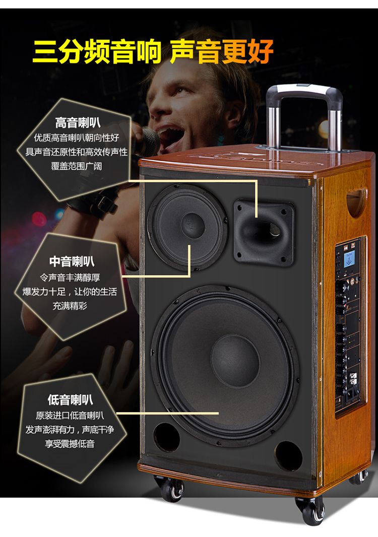 丹唛仕户外音响带无线话筒K歌大功率演出直播拉杆式广场舞音箱产品图