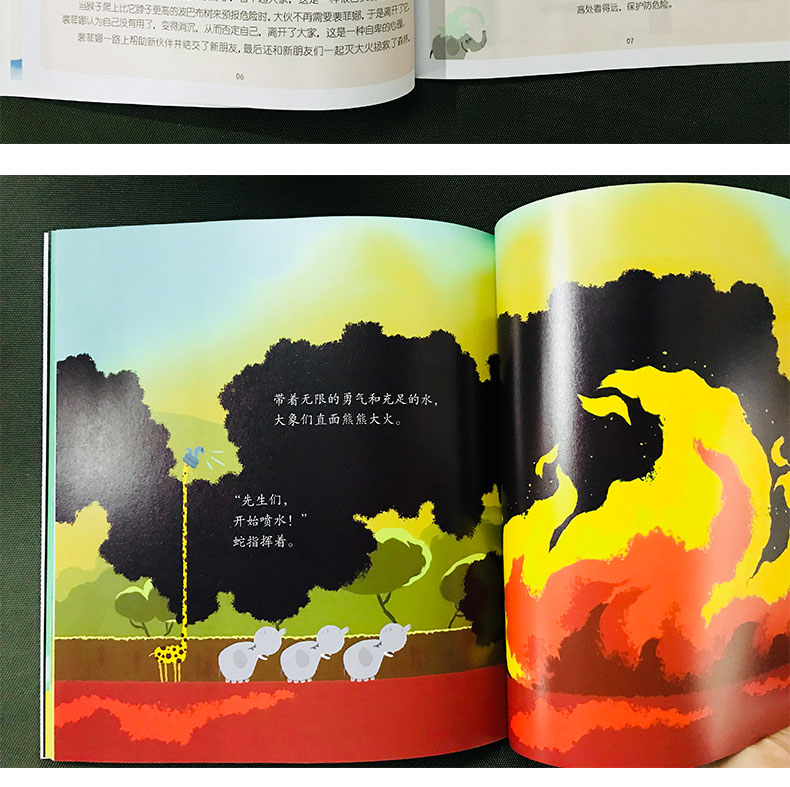世界经典绘本  3-8岁 儿童启蒙教育绘本（全12册）详情图18