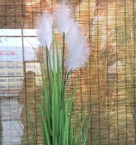 Simulation of pot reeds flower onion grass 120 reeds spring thumbnail