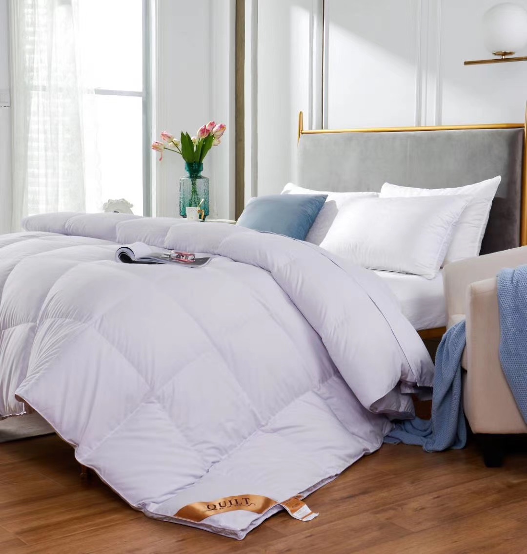 Hilton goose down quilt Application Scenario