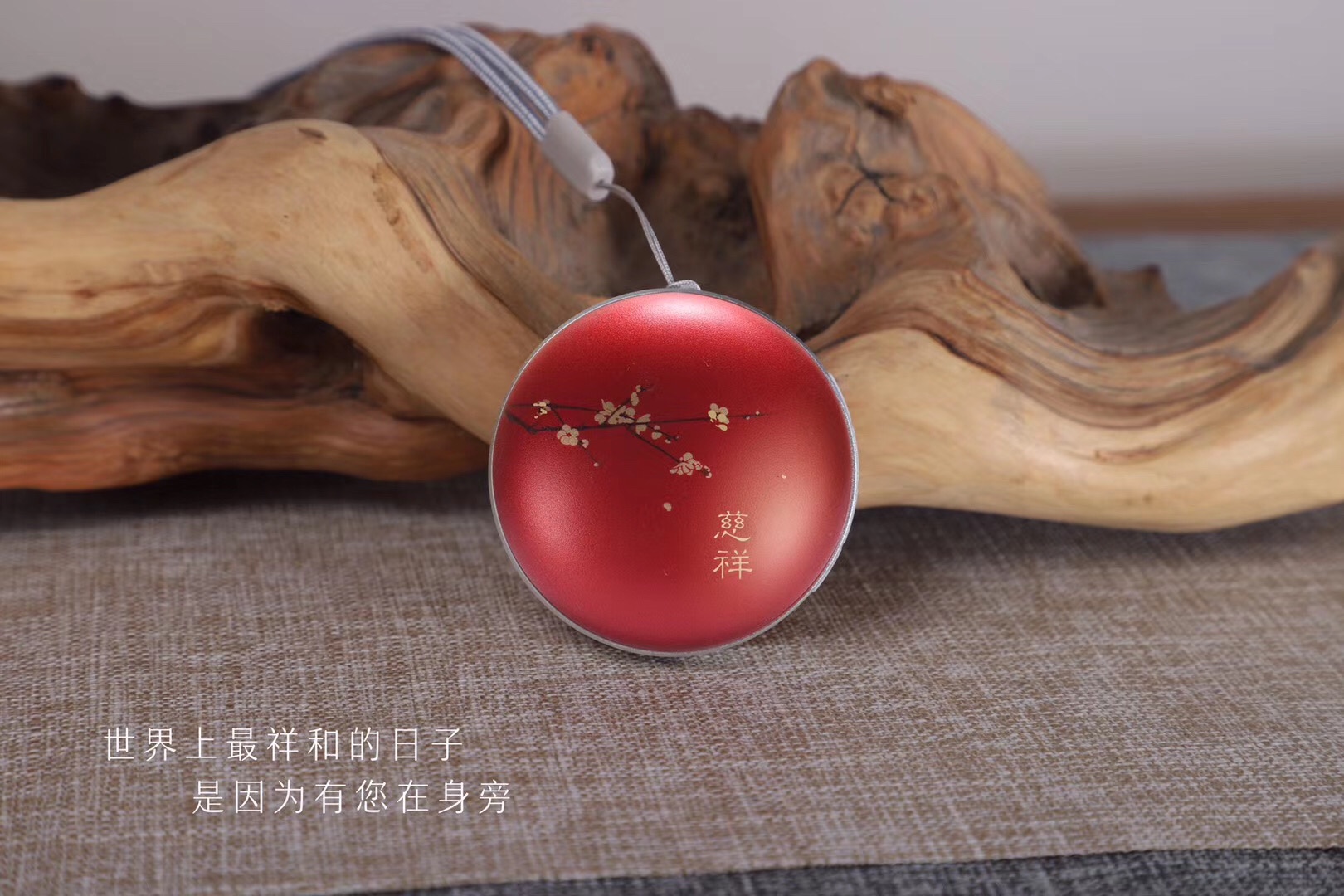 Joyful Chanting machine and record player details Picture