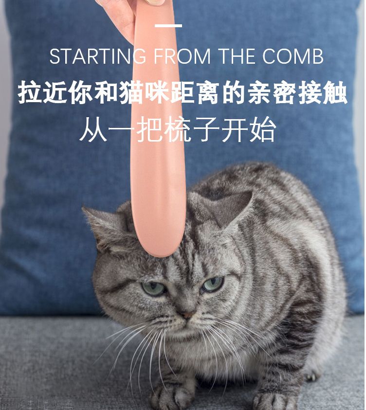 亚马逊热销猫舌梳猫咪梳宠物梳撸猫清洁去浮毛毛刷英短按摩除毛梳