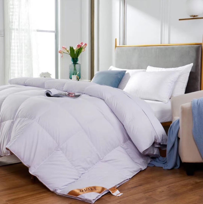 Hilton goose down quilt