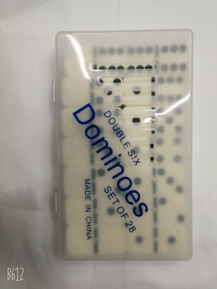 Plastic box dominoes
