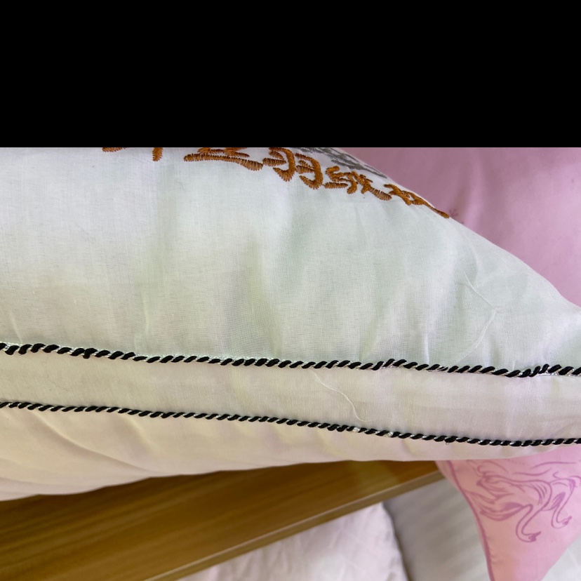 Old Duck Classic Pillow Core details Picture