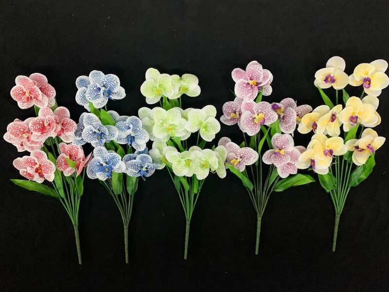 0119-23 details Picture