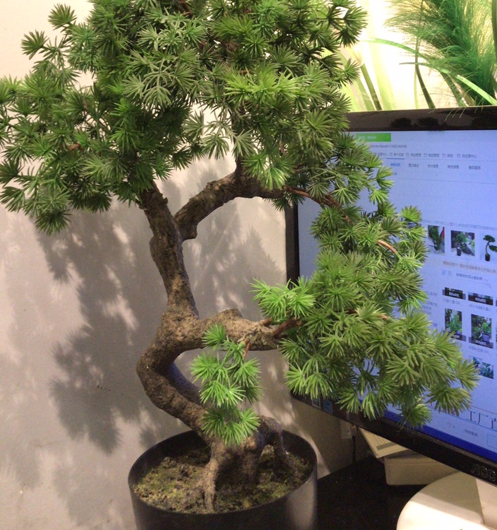 Factory direct sales of artificial plant flower art welcoming pine potted display BC068